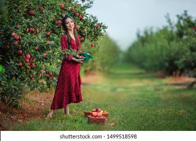 76,763 Young orchard Images, Stock Photos & Vectors | Shutterstock