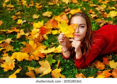 A young woman in a red knitted dress lying on the ground covered with autumn yellow and red leaves in a beautiful park. She put a maple leaf to her face, covering her eye with it. Copy Space.