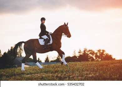 Young Woman Riding Brown Horse Wearing Helmet In Field