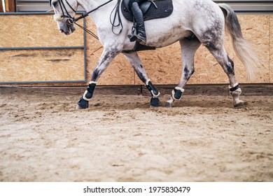 Young woman riding her horse.	 - Shutterstock ID 1975830479