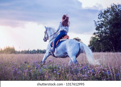 young woman riding a horse in countryside. motion, speed, freedom. bottom view
