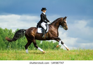 Young Woman Riding Horse On The Top Of The Hill. Equestrian Sport - Dressage.