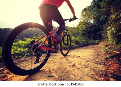 Young Woman Riding Mountain Bike On Forest Trail