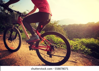 young woman riding mountain bike on forest trail - Shutterstock ID 558878071