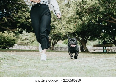 Young Woman Running And Playing With French Bulldog During A Sunny Day At The Park Playing With Best Friend. Young People Adopting Animals And Having Fun. Funny Image Of A Black Dog With Big Tongue