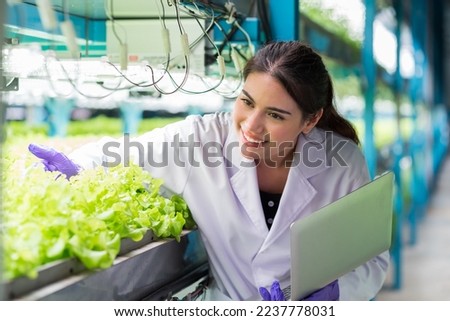 Young woman scientist holding laptop computer analyzes and studies research in organic, hydroponic vegetables plots growing on indoor vertical farm