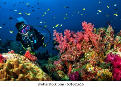Young woman scuba diving on a beautiful soft coral reef in South Andaman, Thailand