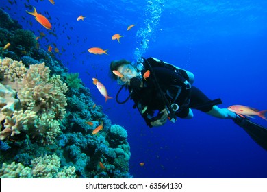 Young Woman Scuba Diving On A Beautiful Coral Reef