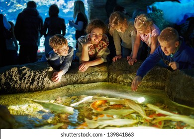 Young woman and several children see after fishes in enlighted pool at oceanarium