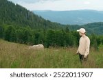 A young woman sheepherd farmer grazes dike sheep high in the mountains on a meadow in the middle of the forest. The concept of free-range animals, tourism, breeding agriculture and farm animals.