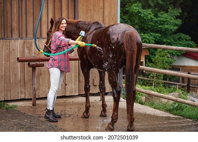 Young woman in shirt washing brown horse after ride, water flowing from hose near stables