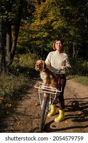 Young Woman With Short Hair Is Riding A Bicycle During Autumn Season In The Forest With Pet Dog Sitting In The Basket.