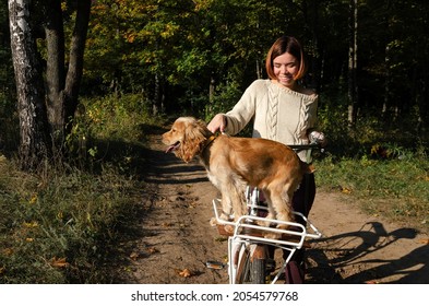 Young Woman With Short Hair Is Riding A Bicycle During Autumn Season In The Forest With Pet Dog Sitting In The Basket.