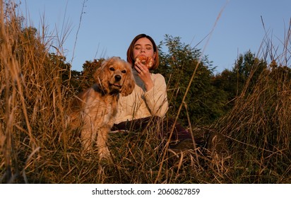 Young Woman With Short Hair Sitting On Dry Grass Hill During Sunset With Her English Cocker Spaniel Dog, Eating Pastry.