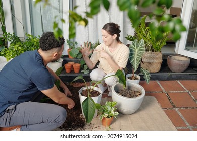 Young Woman Showing Hand To Husband Dirty After She Has Been Repotting Flowers In Bigger Pots