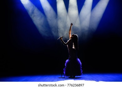 A Young Woman Singer On Stage During A Concert