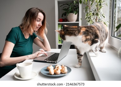 Young Woman Sitting By The Window With Laptop. Cat Walking On Table. Working And Studing Online At Home.