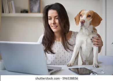 Young Woman Sitting At Desk And Typing On Laptop, Beside Her Is Dog 