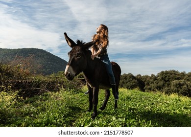 A young woman sitting on a donkey looking up at the sun in the meadow. - Powered by Shutterstock