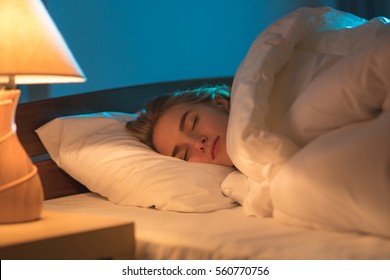 The Young Woman Sleeping On The Bed