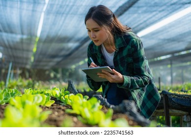 Young woman smart farmer or agronomist, using tablet checking quality, with organic farm fresh green vegetables products, concept digital technology smart farming agriculture and smart farming - Shutterstock ID 2235741563
