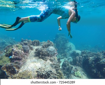 A young woman is snorkeling. She watches a rare sea urchin.