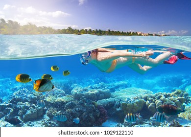 Young Woman At Snorkeling In The Tropical Water Of Mexico