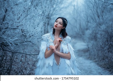 Young woman snow queen. Fantasy cape, white feathers. Creative clothes sexy dress. Fashion model, beautiful face. Elven cloak, princess in winter forest, trees in hoarfrost, snow. Silver Tiara Circlet