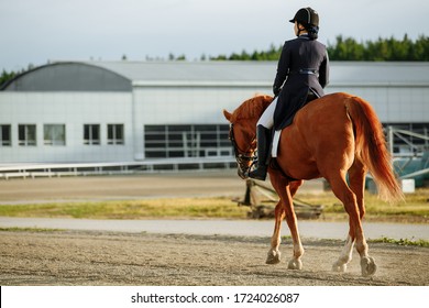 Young woman in special uniform and helmet riding horse. Equestrian sport - dressage.