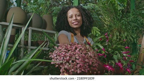 Young Woman Spraying Water Into Plants Inside Greenhouse. Employee Of Small Business Caring For Plants And Flowers Irrigating. Girl Wearing Apron Watering Plants