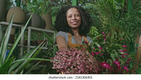 Young Woman Spraying Water Into Plants Inside Greenhouse. Employee Of Small Business Caring For Plants And Flowers Irrigating. Girl Wearing Apron Watering Plants