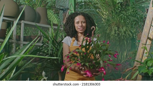 Young Woman Spraying Water Into Plants Inside Greenhouse. Employee Of Small Business Caring For Plants And Flowers Irrigating. Girl Wearing Apron Watering Plants