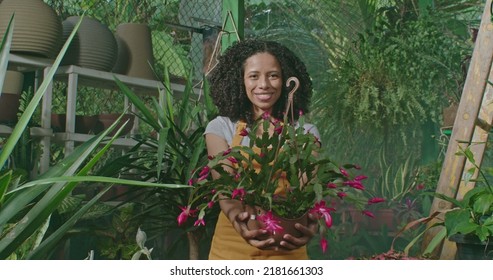 Young Woman Spraying Water Into Plants Inside Greenhouse. Employee Of Small Business Caring For Plants And Flowers Irrigating. Girl Wearing Apron Watering Plants