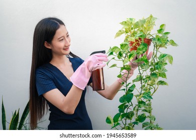 Young woman sprays plants in pots. Woman caring for house plant. Woman taking care of plants at her home, spraying a plant with pure water from a spray bottle. - Shutterstock ID 1945653589