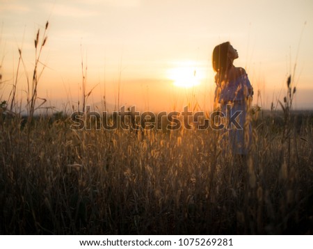 Similar – Sunset, Field