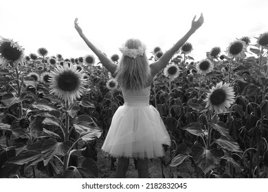 Young Woman Standing In Sunflower Field And Looking Around. Girl Wearing White Flower Wreath On Head And Wedding Dress. Posing Lady. Nature Lover. Beautiful Bride.