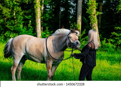 Young Woman Stands With Stubborn Horse In The Lush Green Nature