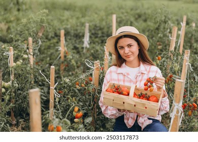 A young woman in a straw hat harvests fresh tomatoes in a sunlit garden. She smiles while holding a basket filled with ripe tomatoes, showcasing organic farming and agriculture. - Powered by Shutterstock