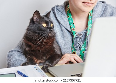 A Young Woman Studies Or Works At Home Using A Sunflower Lanyard, Symbol Of People With Invisible Or Hidden Disabilities. A Cat Accompanies Her To Do Her Chores.