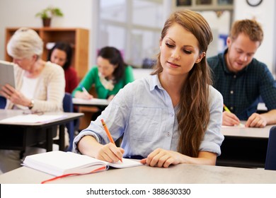 Young Woman Studying At An Adult Education Class