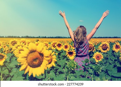 Young Woman In Sunflower Field