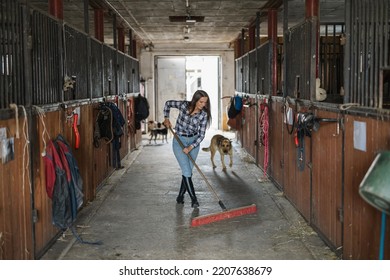 Young woman sweeping stable's floor with a broom
 - Shutterstock ID 2207638679