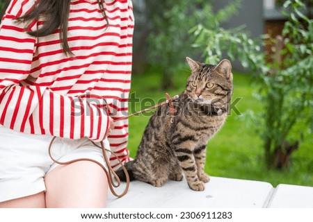 Young woman and tabby cat sitting on a bench outdoors.