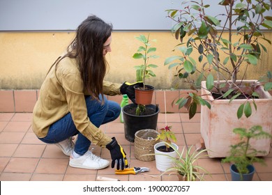 
Young Woman Taking Care Of Her House Plants