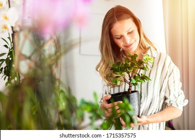 12,129 Taking Care Home Plants Images, Stock Photos & Vectors 