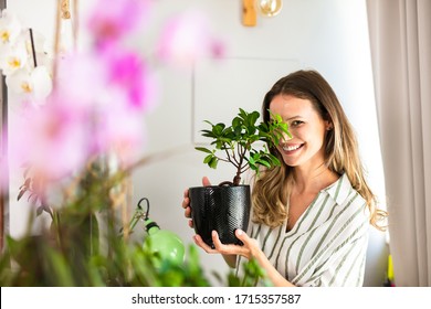 young woman taking care of the house plants, gardening. Home activity for beautiful young woman holding a bonsai in her hands near a bright window - Powered by Shutterstock