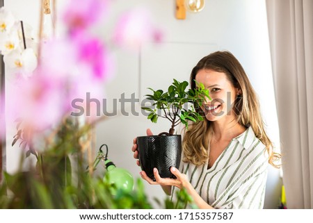 young woman taking care of the house plants, gardening. Home activity for beautiful young woman holding a bonsai in her hands near a bright window