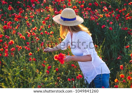 Young woman tears poppy flowers. Poppy bouquet in hand. View from above. Woman wearing white shirt, jeans and straw hat. 