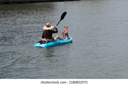 Young Woman And Tiny Dog On Paddle Board