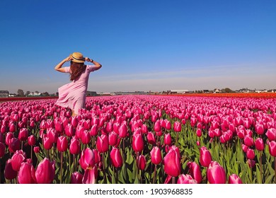 Young woman tourist in pink dress and straw hat standing in blooming tulip field. Spring time - Shutterstock ID 1903968835